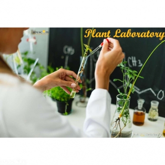 Plant Laboratory Equipment